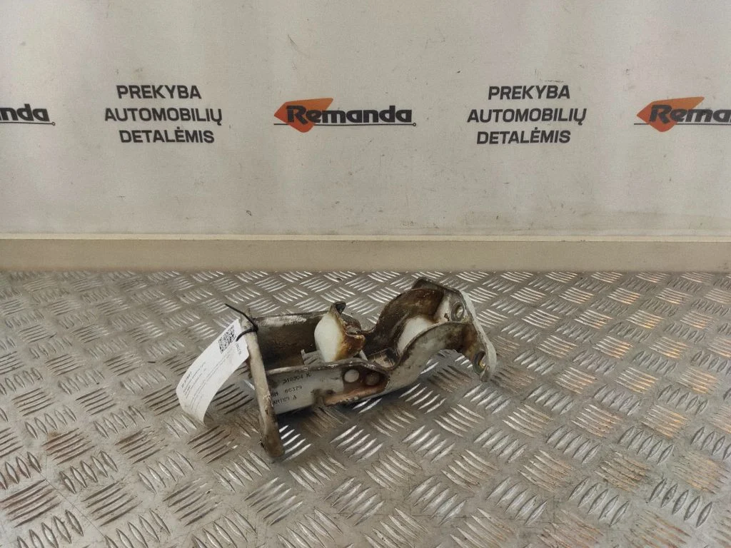 Bagažinės apatinis vyris