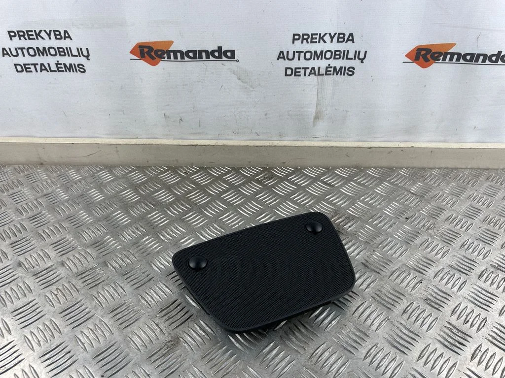 Centrinio garsiakalbio apdaila