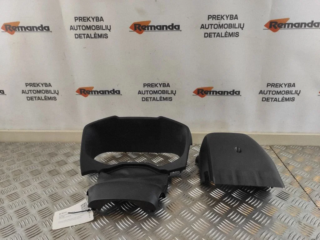 Dashboard trim 55411H4219