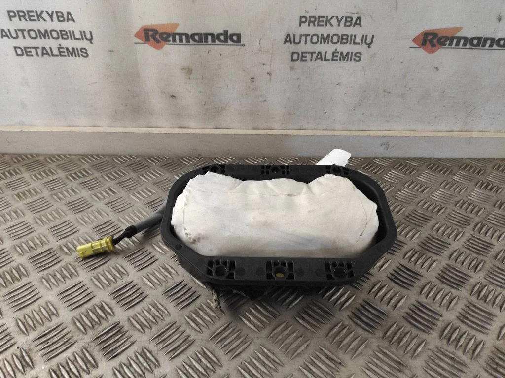 Kõrvalistuja turvapadi 13381057