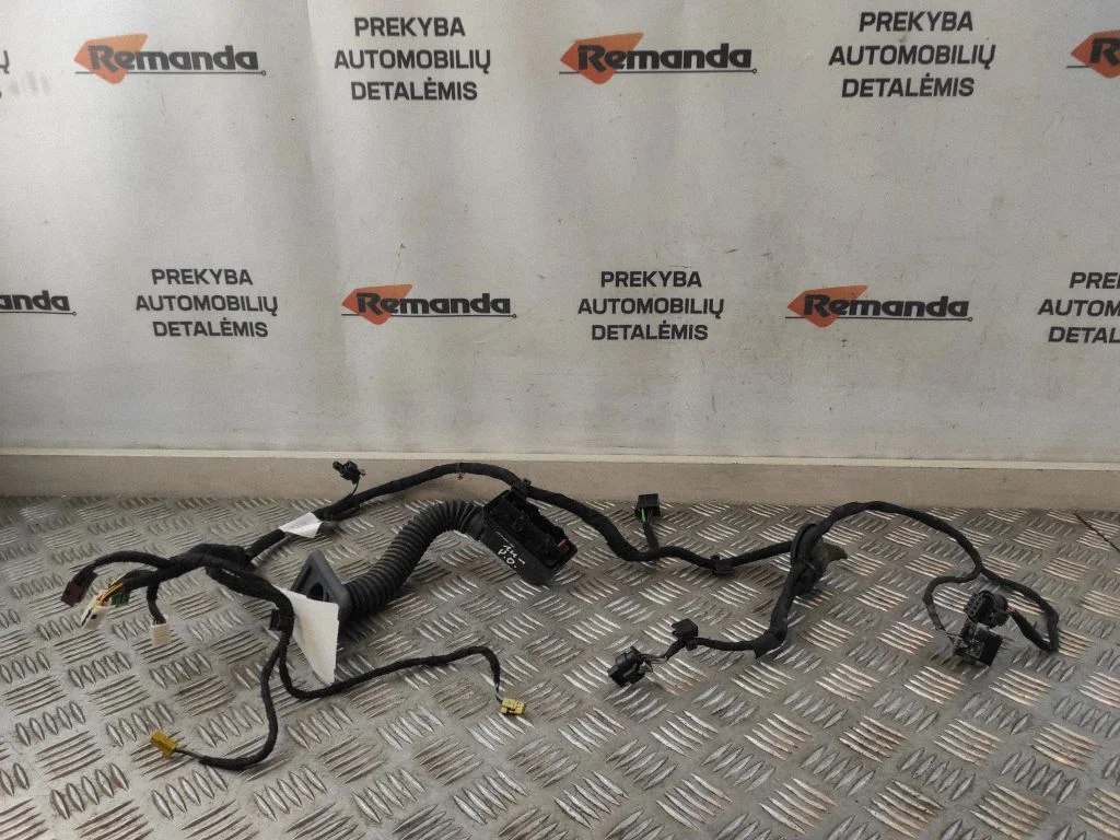 Front door wiring loom A2224402605