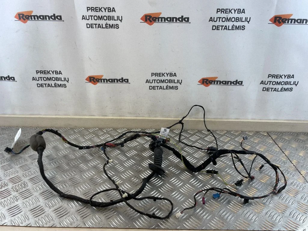 Front door wiring loom 9221028