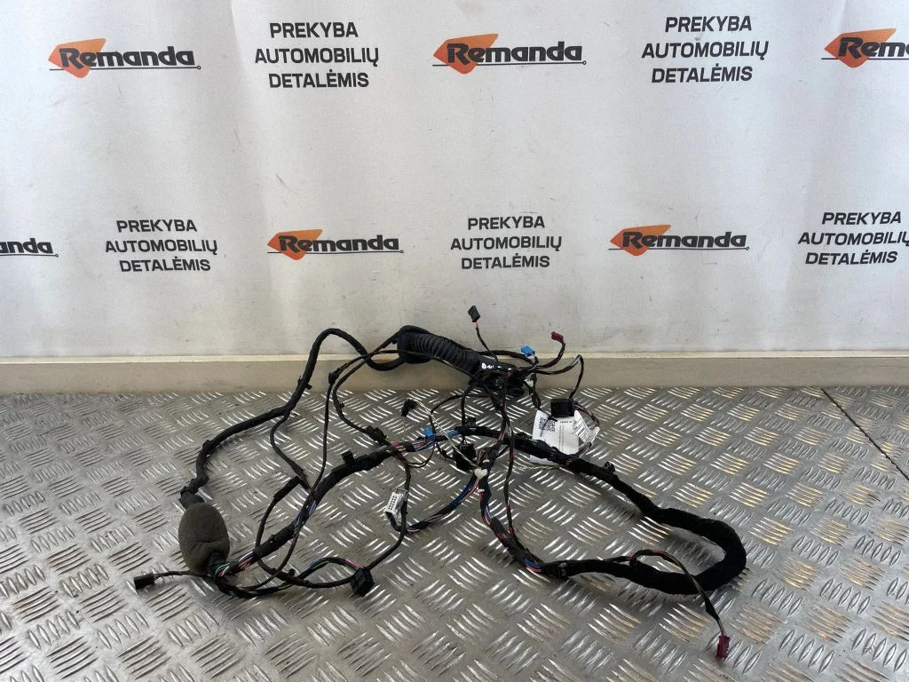 Front door wiring loom 9221028