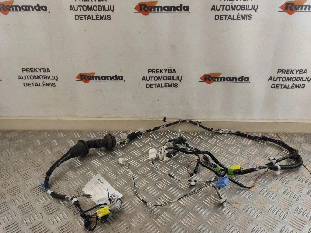 Front door wiring loom 8215242F90