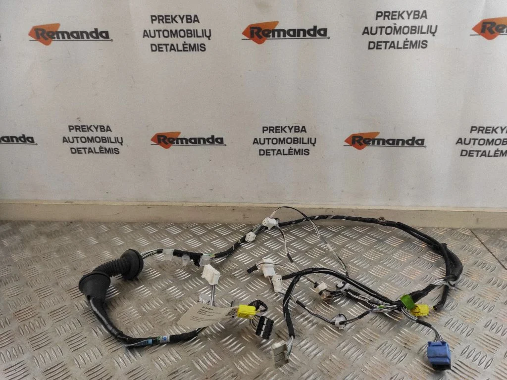 Priekšējo durvju vadu instalācija 8215242E10