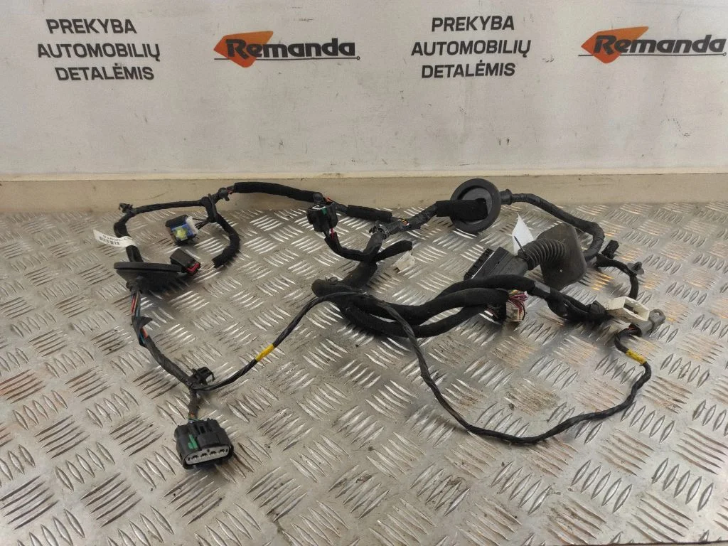 Priekšējo durvju vadu instalācija 91600C5470