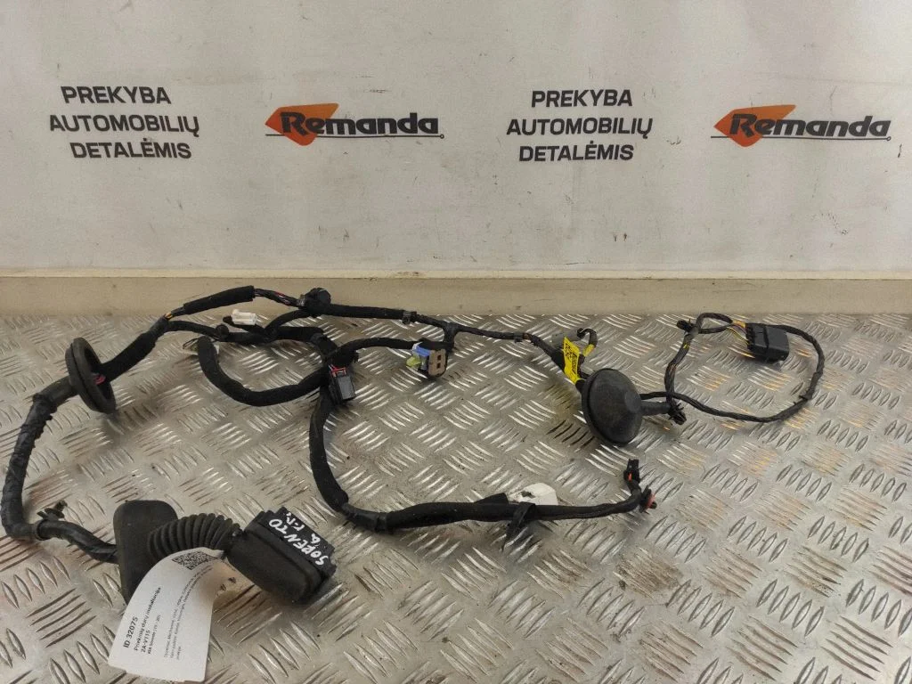 Priekšējo durvju vadu instalācija 91610C5520