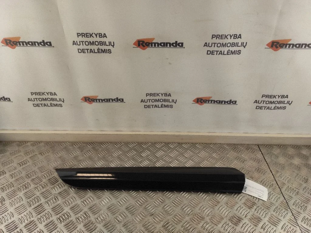 Rear door trim (molding) 3G8853992B