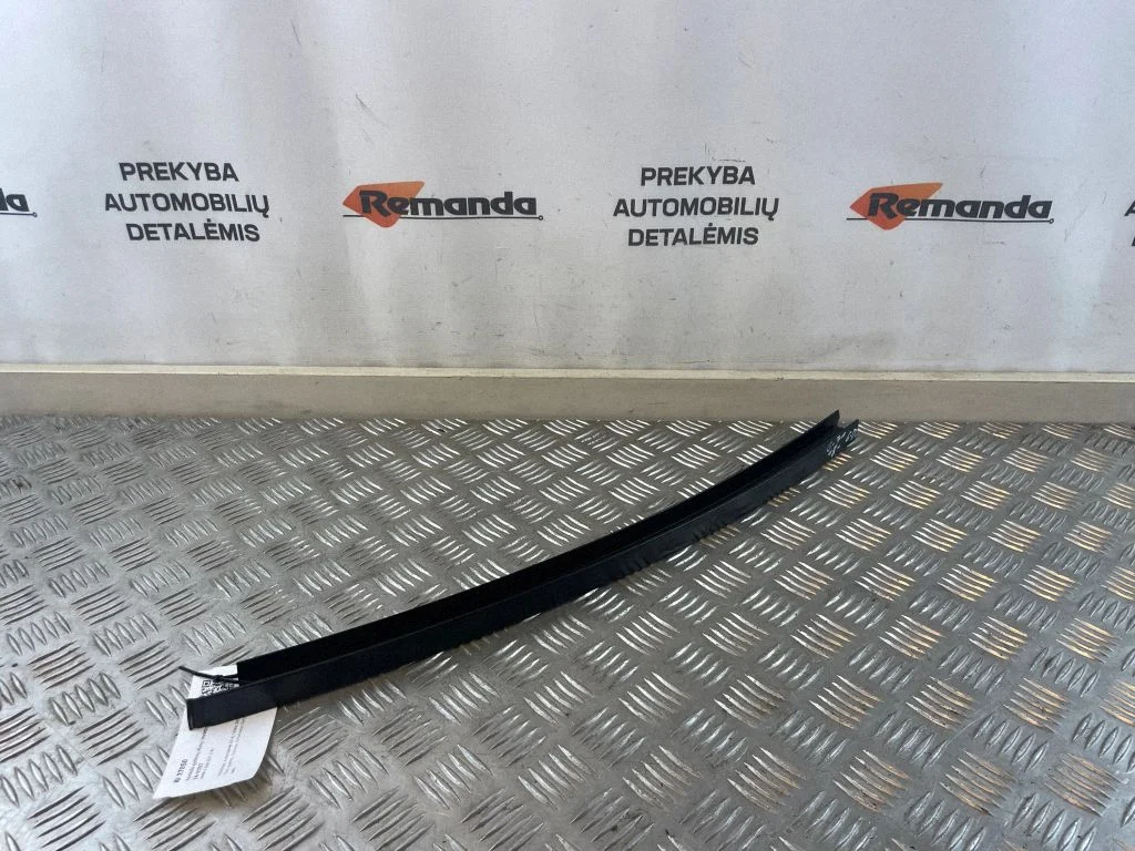 Rear door trim (molding) 7336978