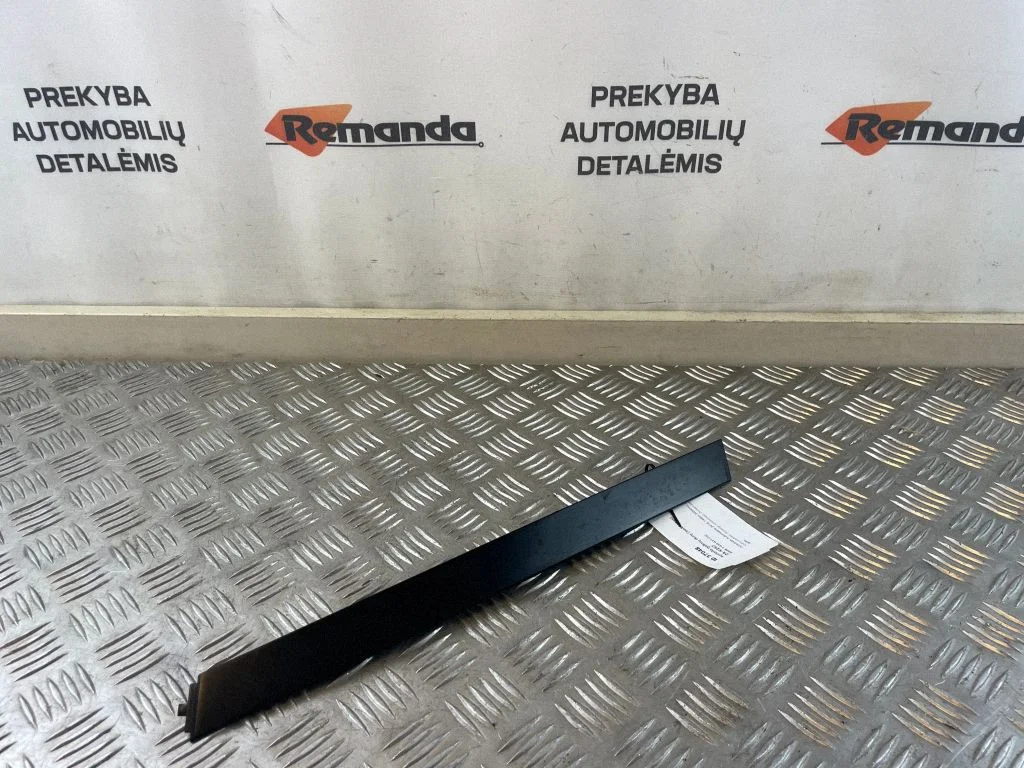 Rear door trim (molding) 7337001