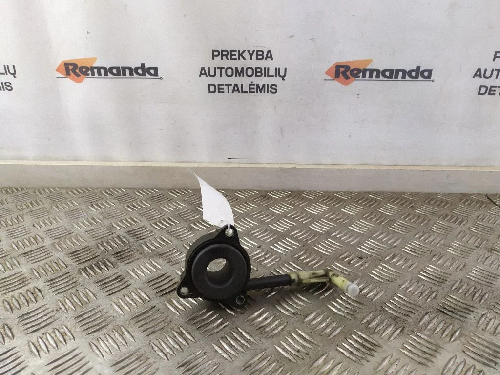 Išminamasis guolis