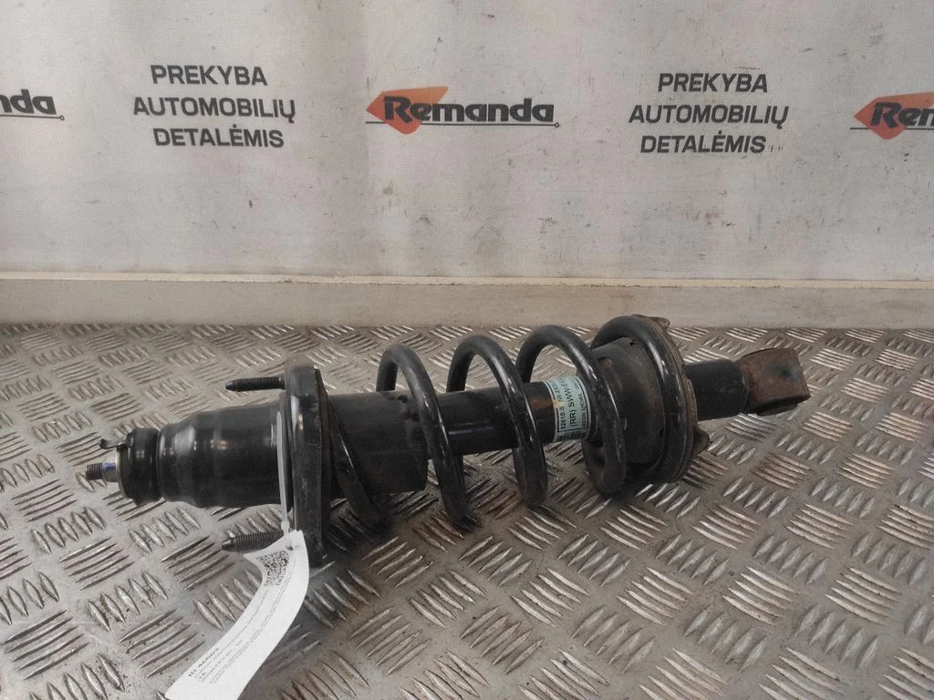Galinis amortizatorius su spyruokle