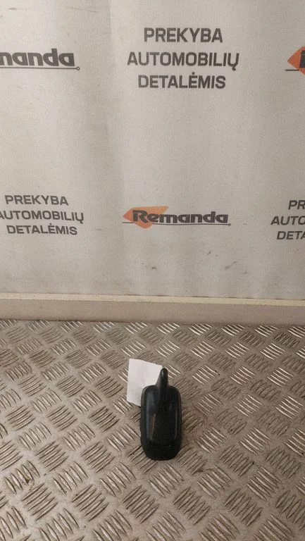 Radio antena