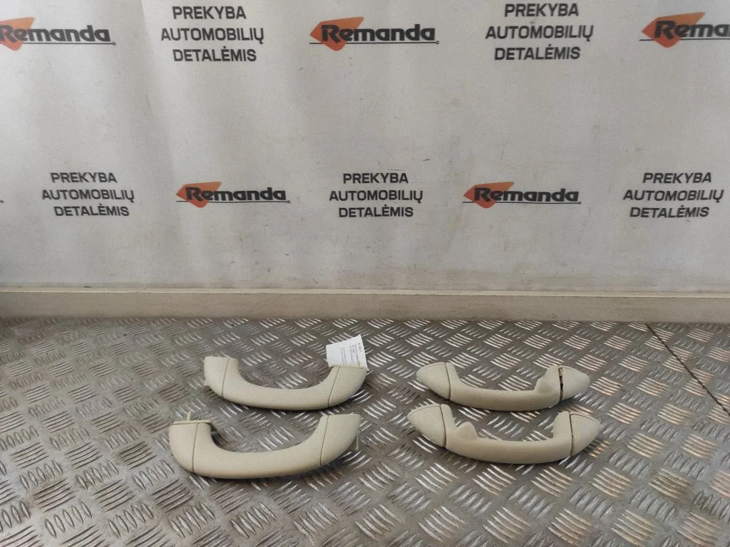 Rankenėlių komplektas lubų