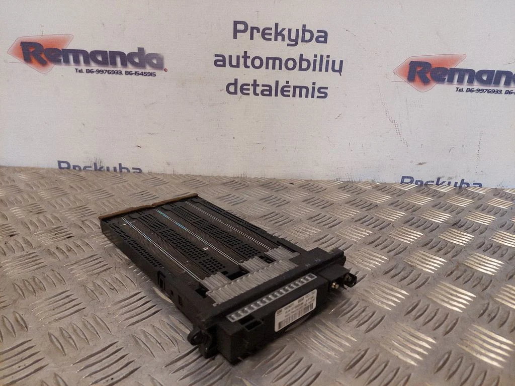 Elektrinis salono pečiuko radiatorius