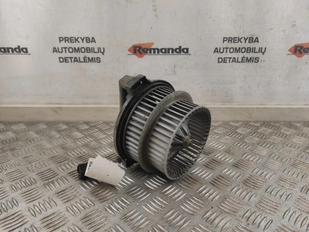 Pečiuko ventiliatorius/ putikas