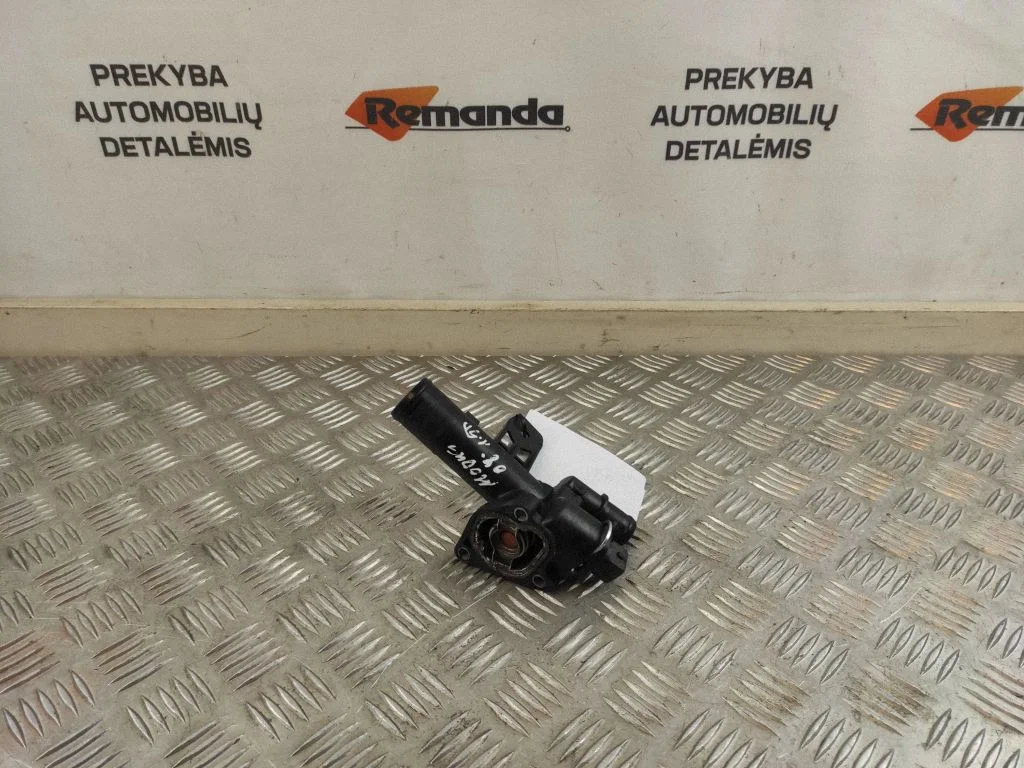 Termostatas/ termostato korpusas