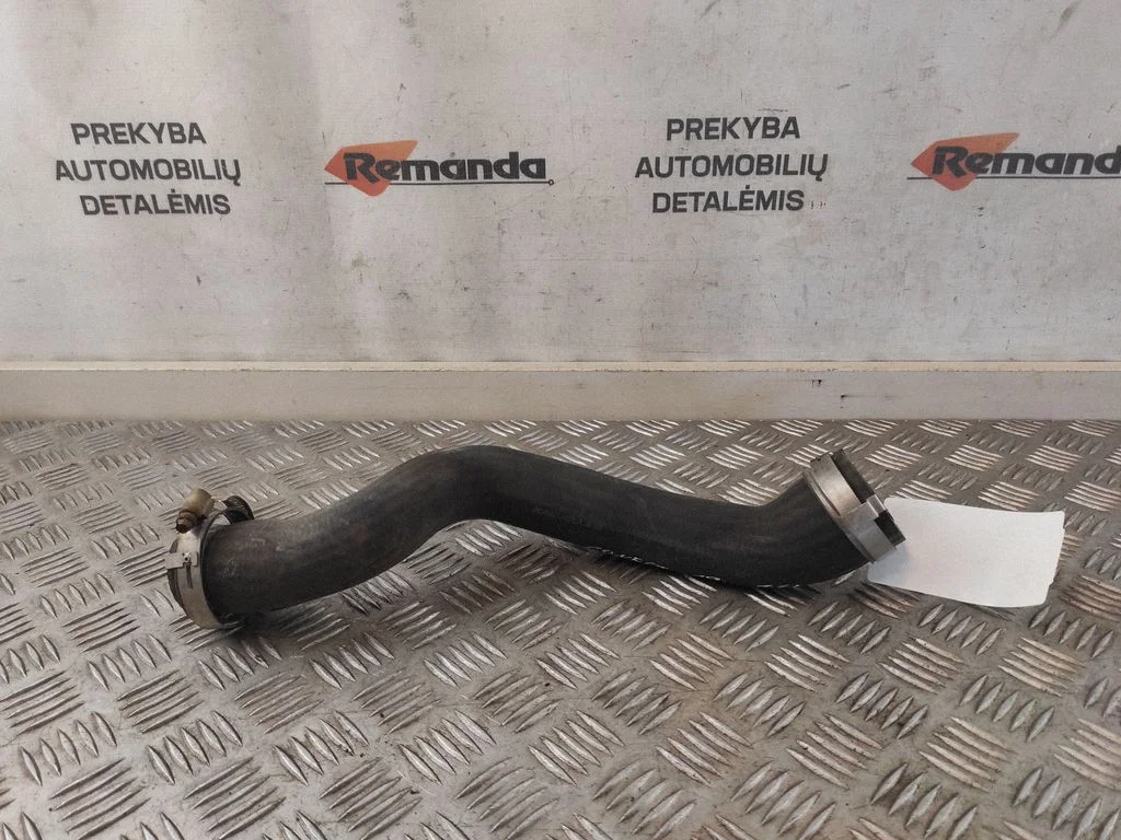 Interkūlerio žarna (-os)/ vamzdelis (-iai)