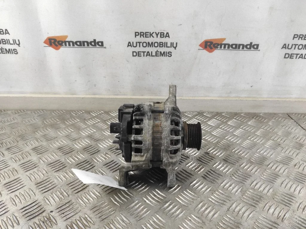 Generaator 504385134