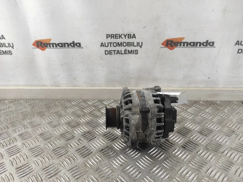 Generaator 504385133