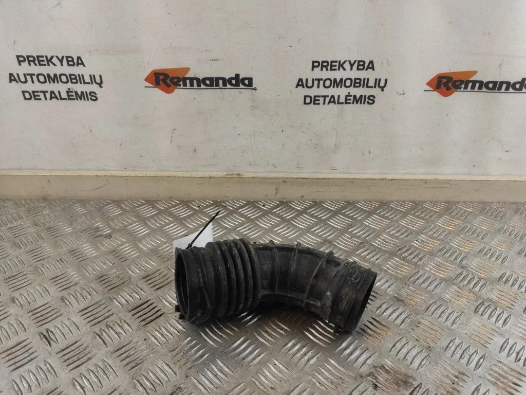 Gaisa ieplūdes kanāla detaļa (-as) 165758920R