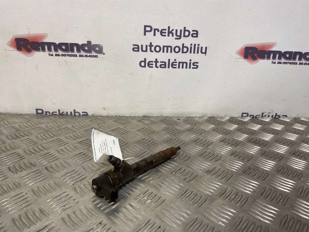Sprausla (-as) (inžektors (-i)) – Chrysler Voyager (2004-2007)