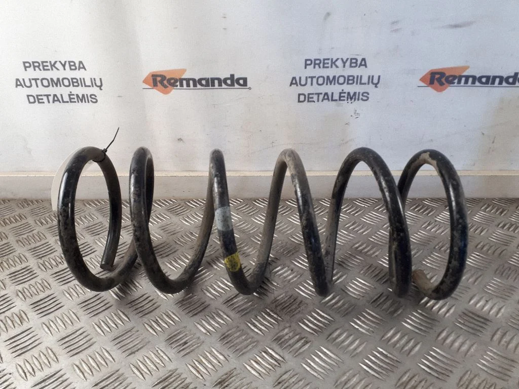 Front coil spring