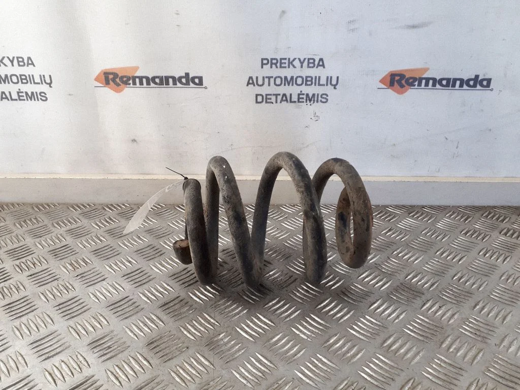 Rear coil spring