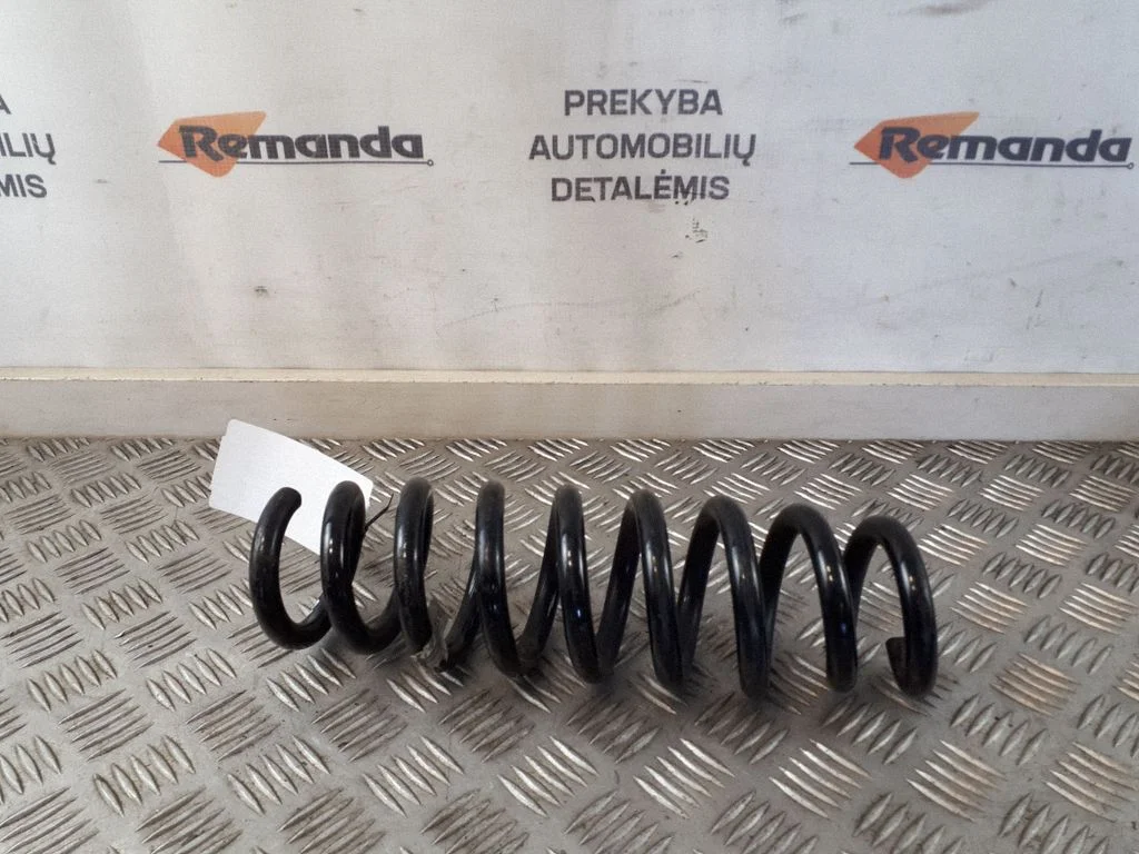 Rear coil spring