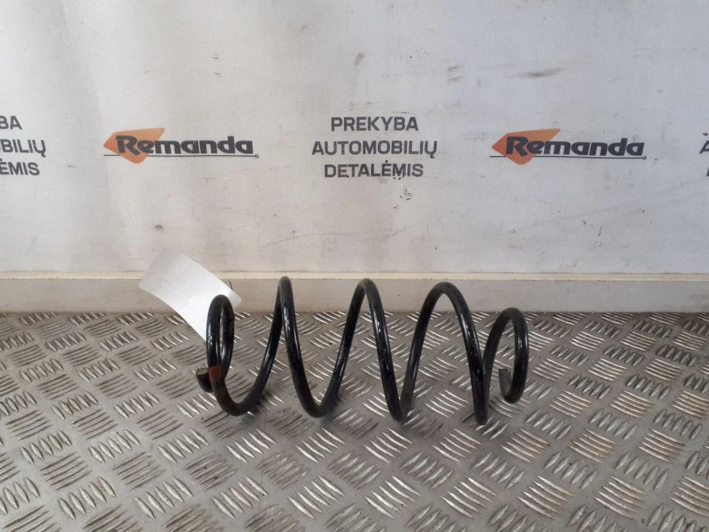 Rear coil spring