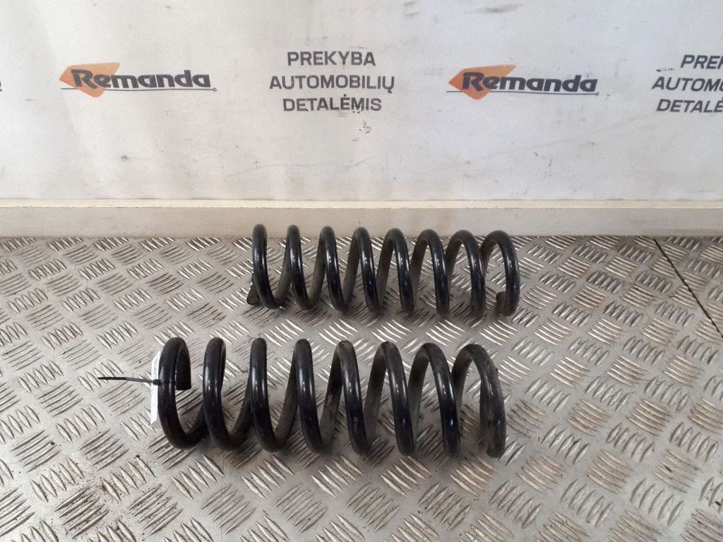 Rear coil spring