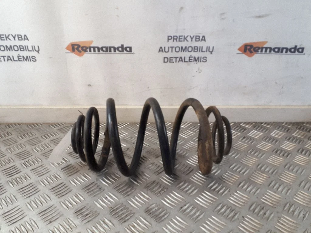 Rear coil spring