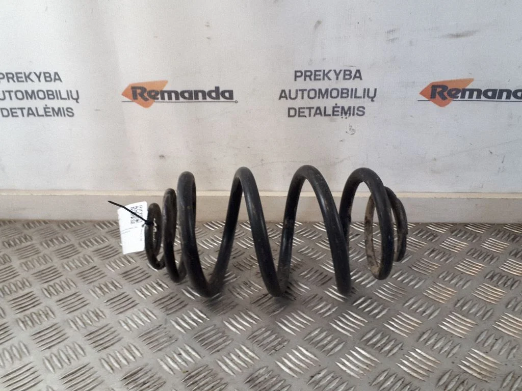 Rear coil spring
