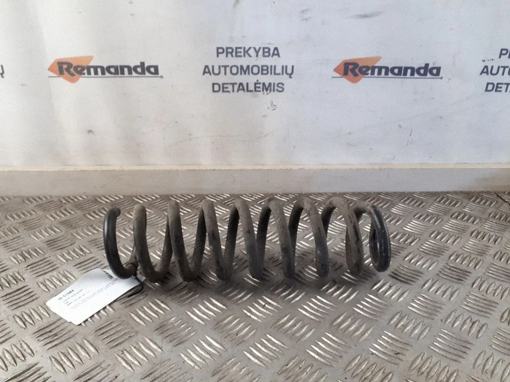 Rear coil spring