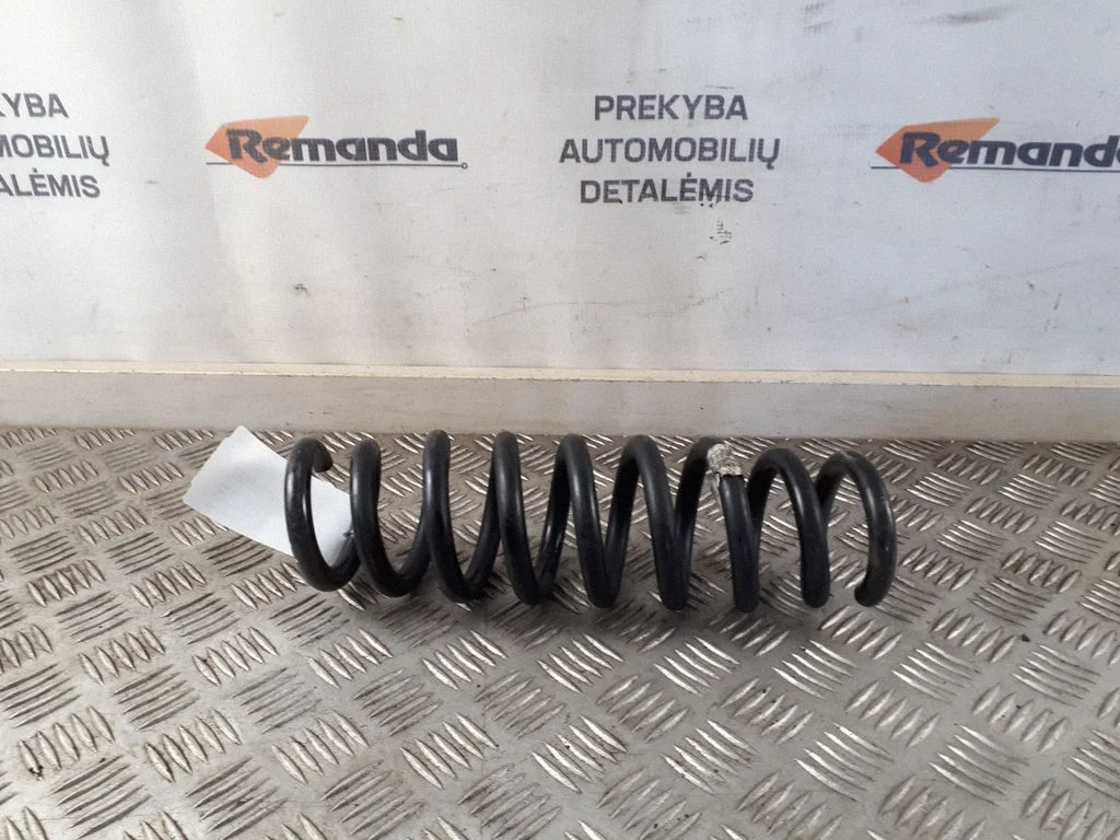Rear coil spring