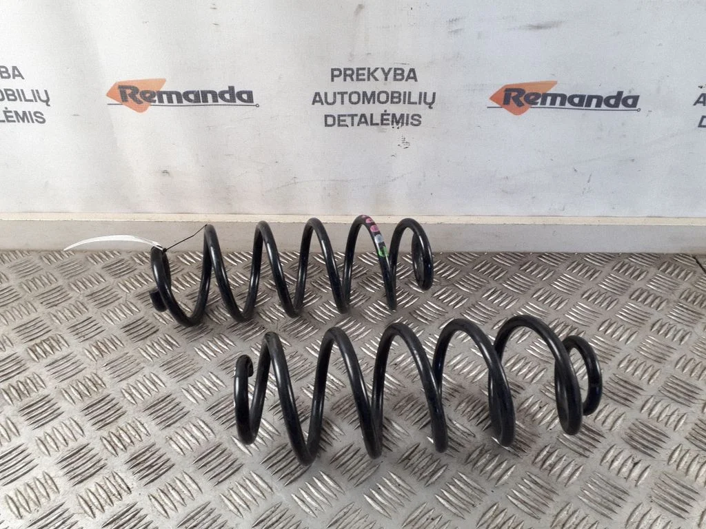 Rear coil spring