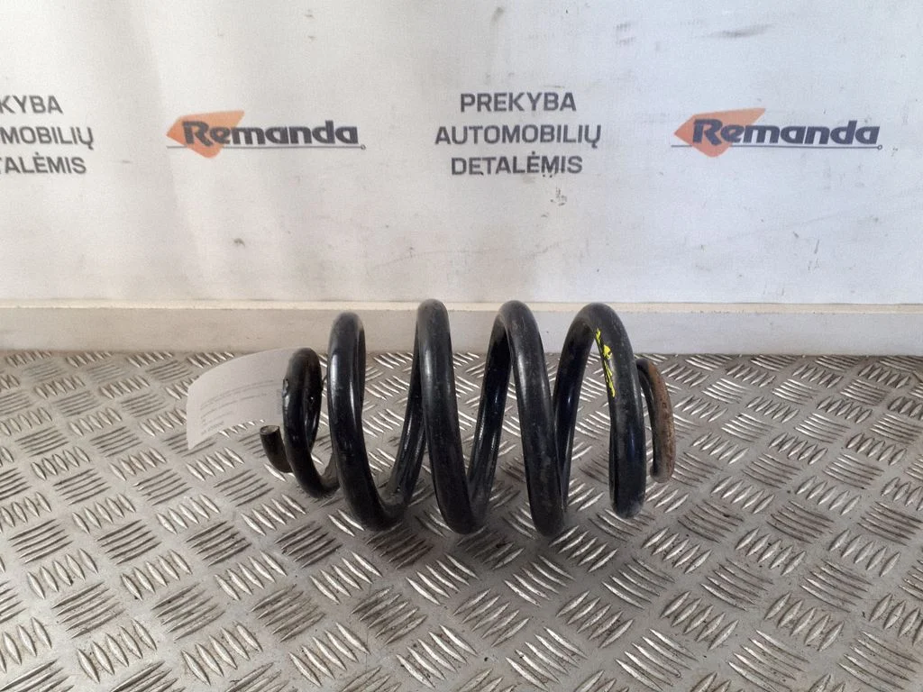 Rear coil spring