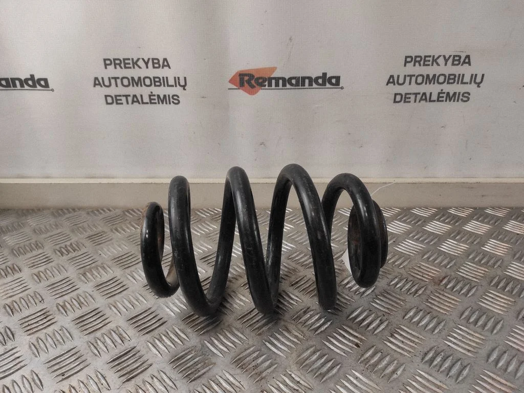 Rear coil spring