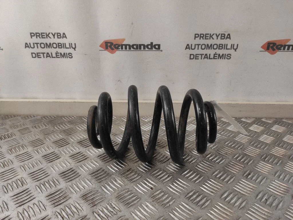 Rear coil spring