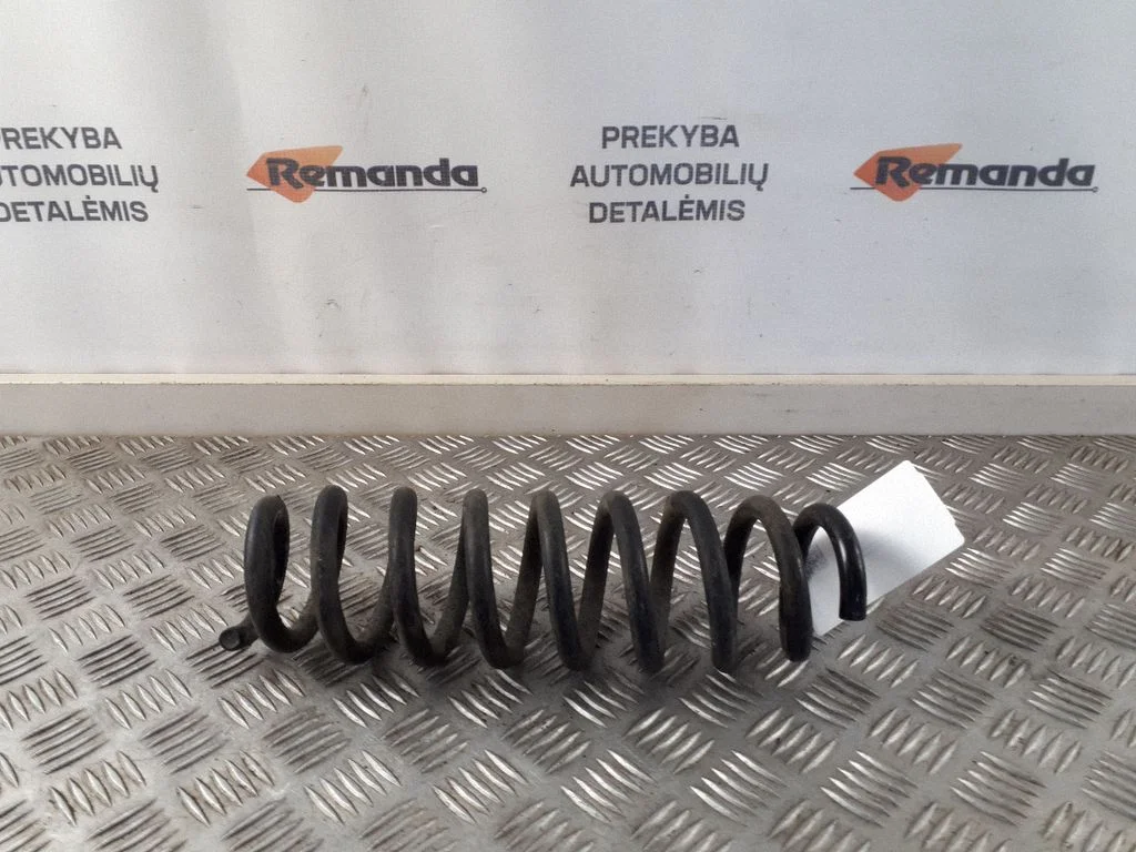 Rear coil spring