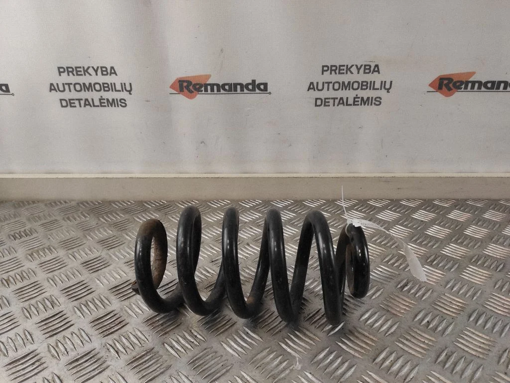 Rear coil spring