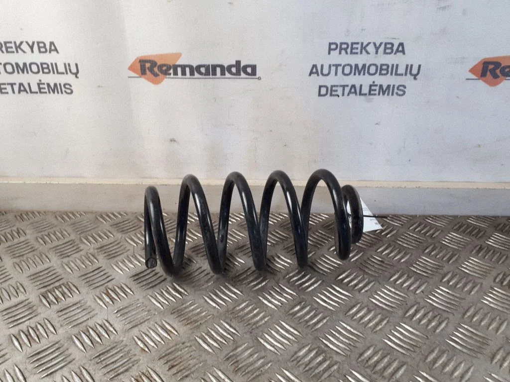 Rear coil spring