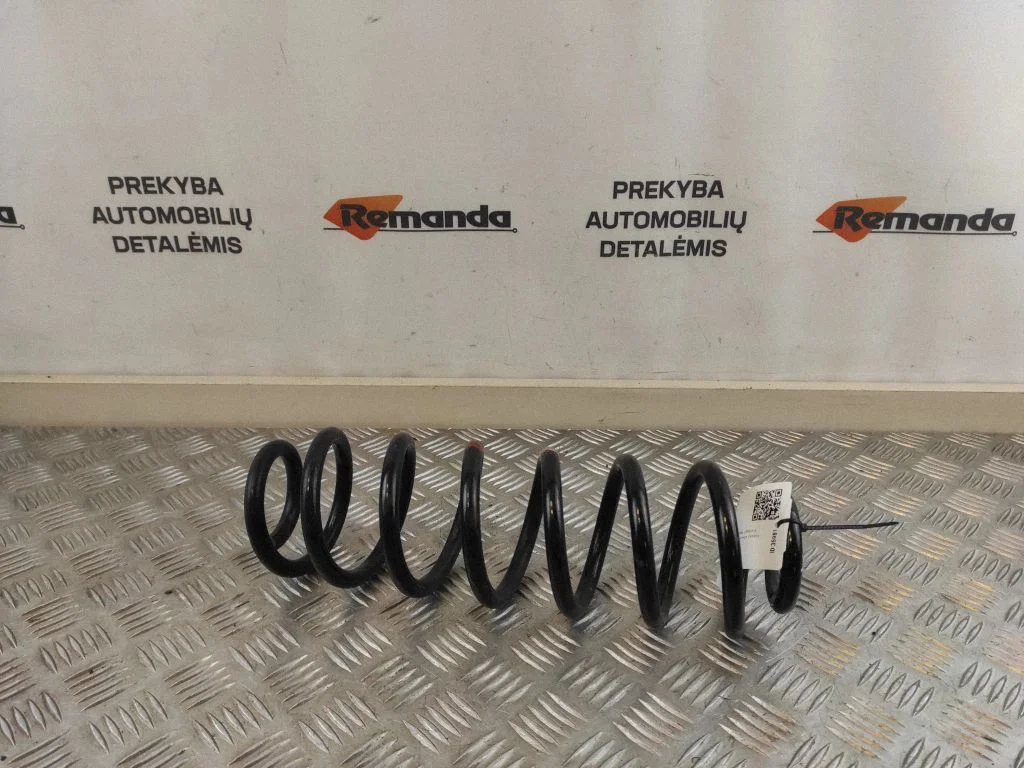 Rear coil spring