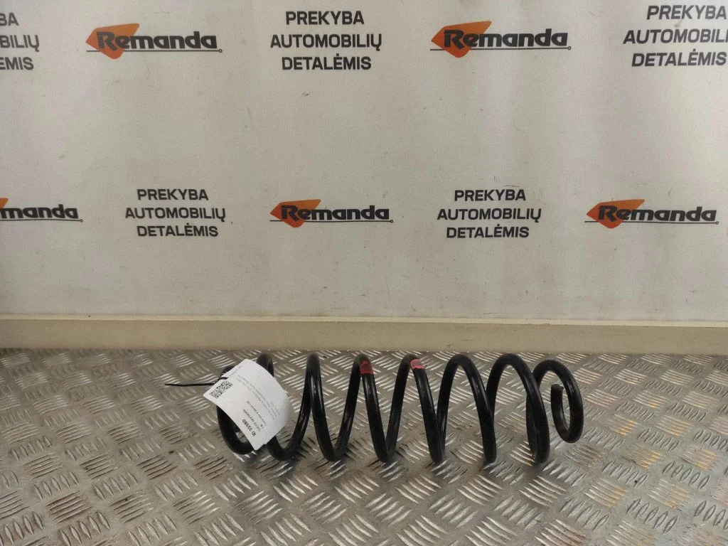 Rear coil spring