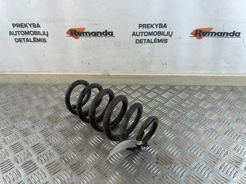 Rear coil spring
