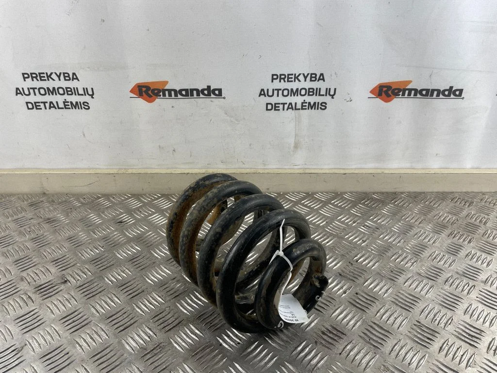 Rear coil spring
