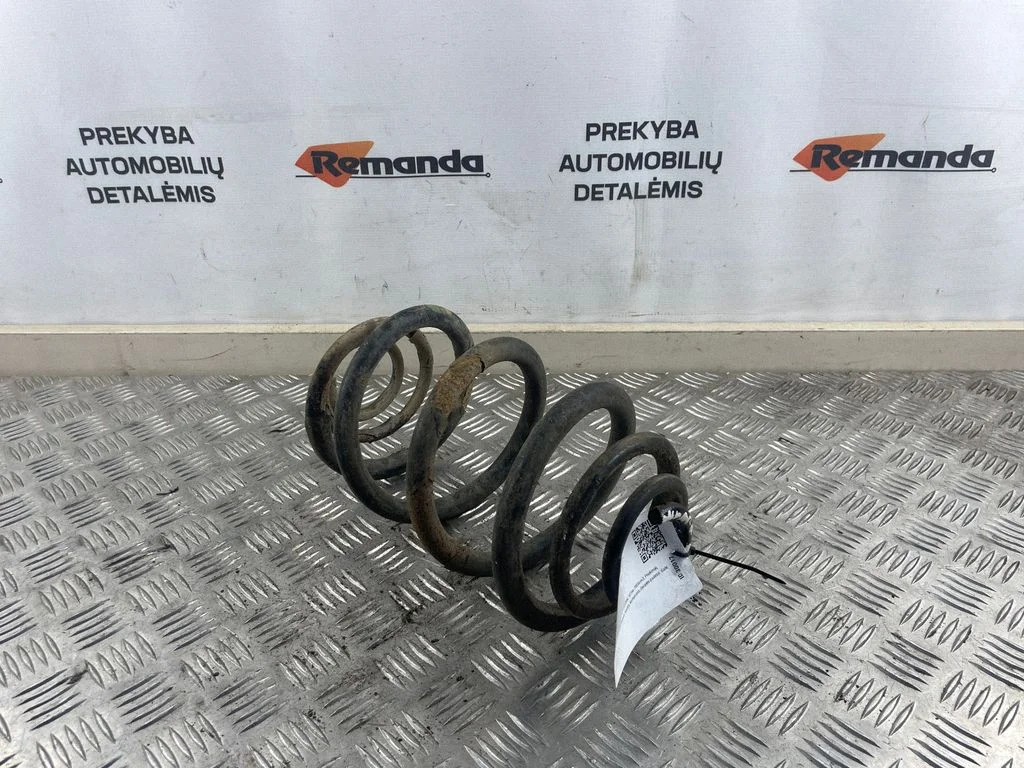 Rear coil spring
