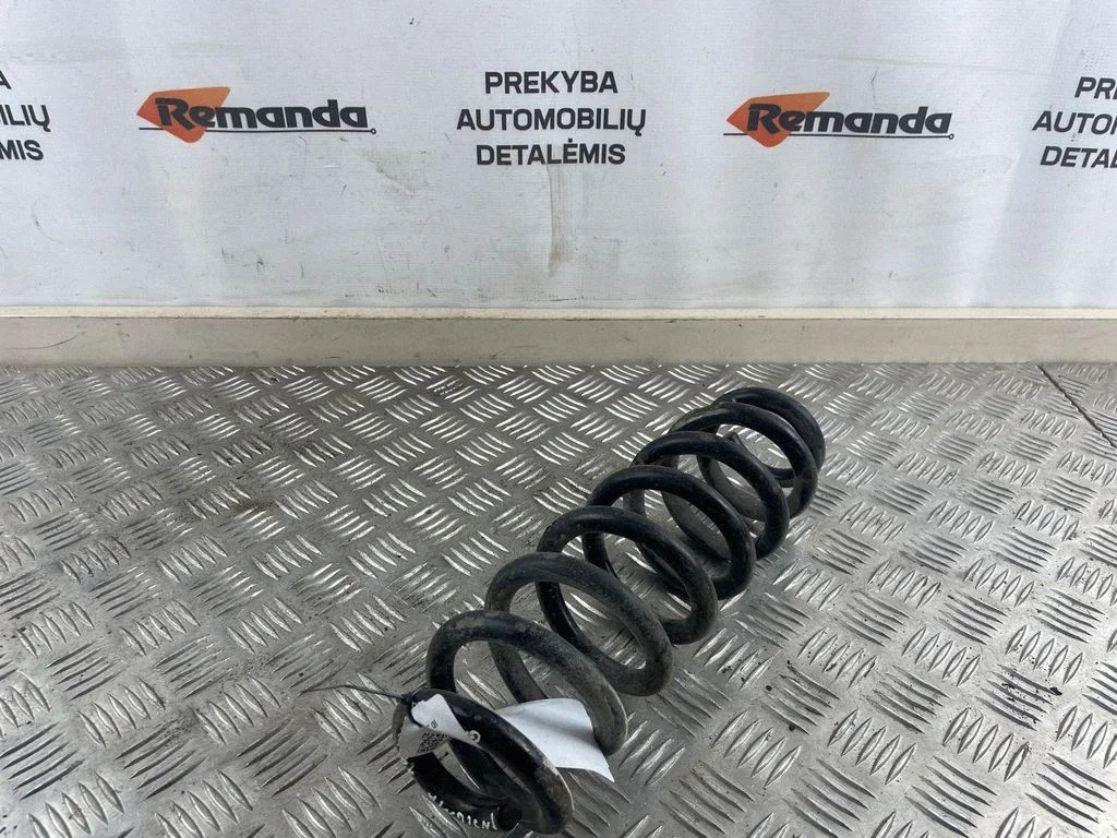 Rear coil spring