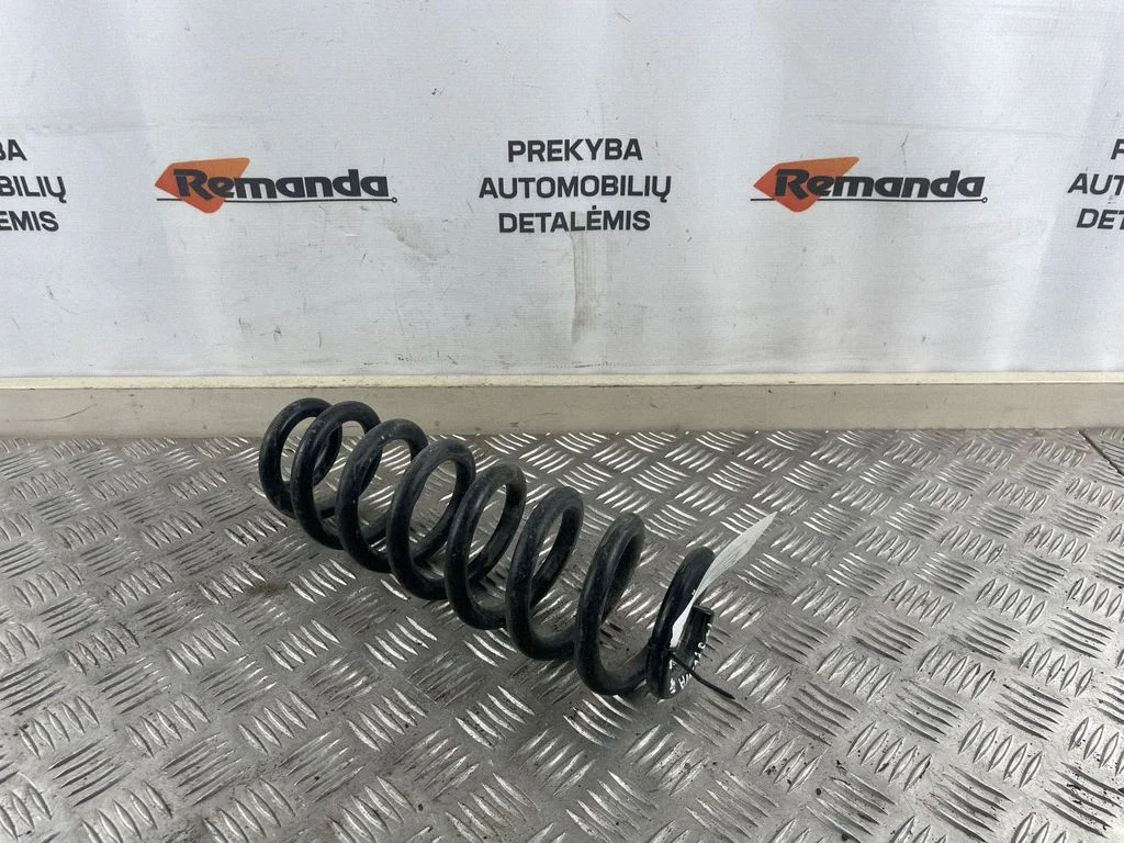 Rear coil spring