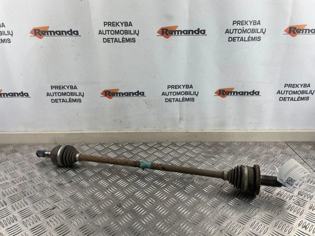 Aizmugurējā pusass 49600C5000